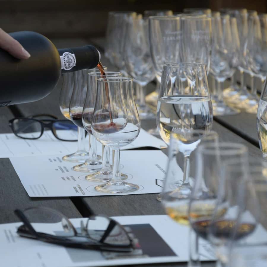 Premium Empanadas Cooking Class & Wine Tasting Experience - Tasting Malbec, Cabernet Sauvignon, and Cabernet Franc