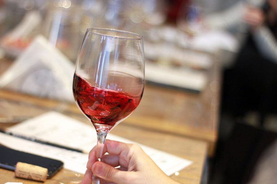 Premium Empanadas Cooking Class & Wine Tasting Experience - Who Should Book This Class?