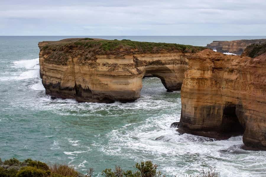 PREMIUM Great Ocean RD Tour REVRS-Luxry SML GRP-Hotel PickUP - A short walk in Great Otway National Park