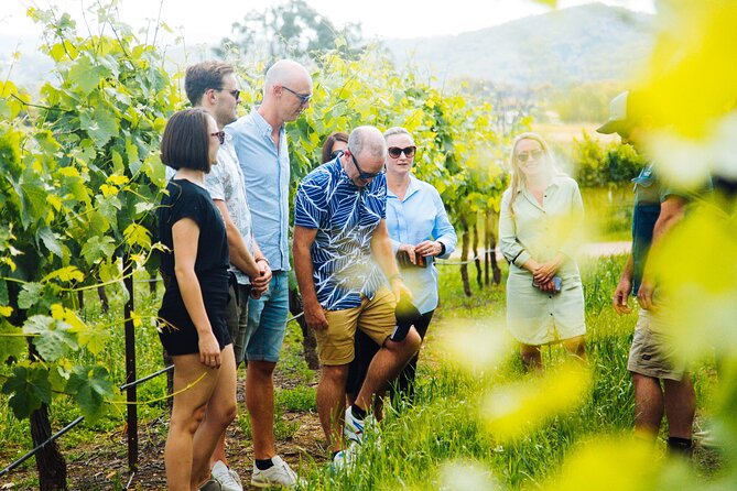 Premium Hunter Valley Wine Tour with Lunch from Sydney - Hunter Valley Gardens and wine with chocolate
