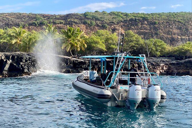 Premium Kona Coast Morning Snorkel - Who should book this trip