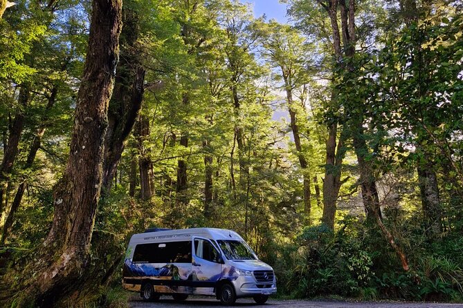Premium Milford Sound Small Group Tour & Cruise from Queenstown - Homer Tunnel makes the route feel engineered by hand
