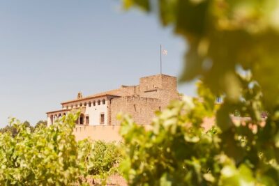 Premium Montserrat & Wine Full Day Tour from Barcelona