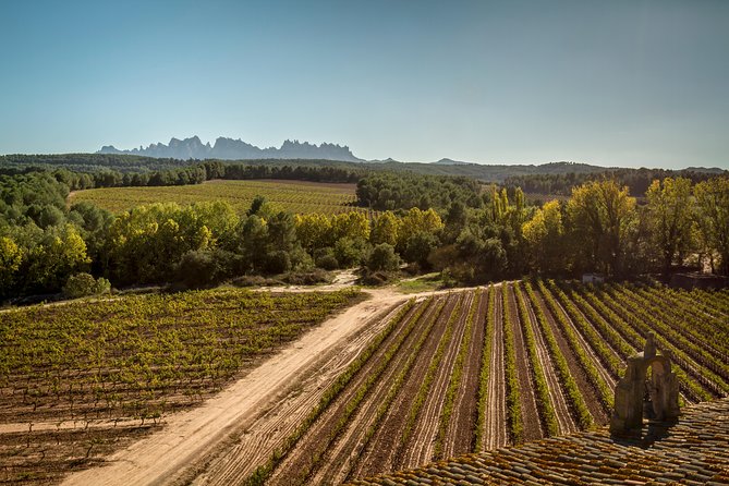Premium Montserrat & Wine Full Day Tour from Barcelona - What the guide adds to the day