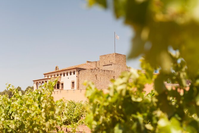 Premium Montserrat & Wine Full Day Tour from Barcelona - Montserrat: monastery, rock, and open time