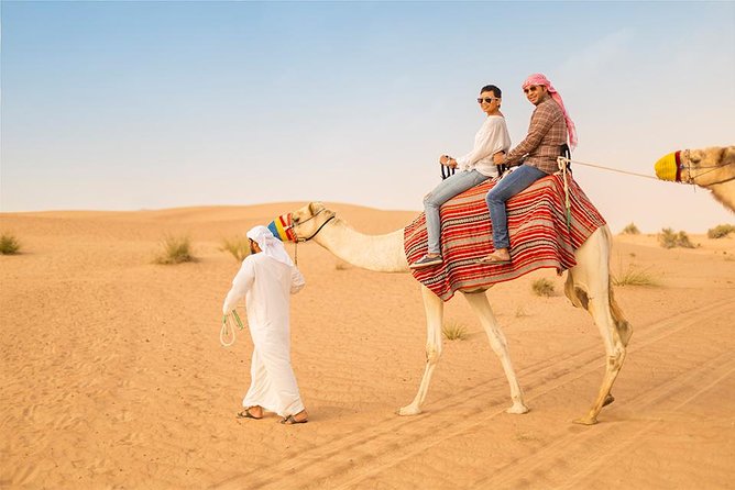 Premium Morning Desert Safari in 4x4 Private Vehicle Up To 6 Pax - The 45-minute dune bash is the main event