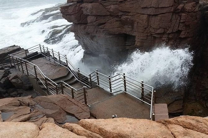 Premium Narrated Bus Tour of Bar Harbor and Acadia National Park (3.5 Hours) - What the minibus saves you from