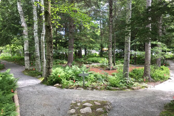 Premium Narrated Bus Tour of Bar Harbor and Acadia National Park (3.5 Hours) - Is $99.36 a fair price?