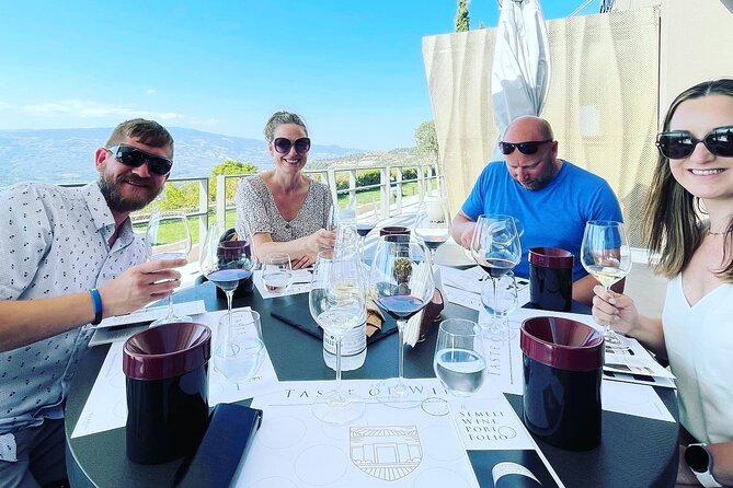 Premium Nemea Wine Tour from Athens, Nafplio or Nemea, with Oenologists - Pickup, timing, and the private-tour advantage
