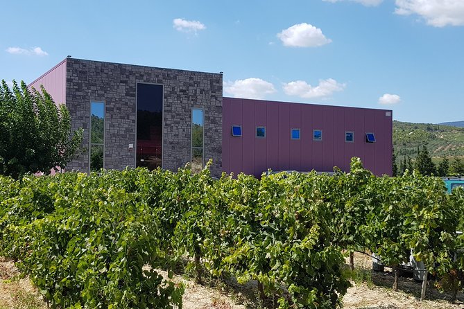 Premium Nemea Wine Tour from Athens, Nafplio or Nemea, with Oenologists - Who should book this Nemea wine tour