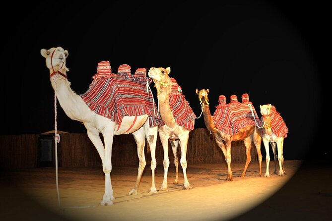 Premium Private Desert Safari with Camel Ride & Live BBQ Dinner - Sandboarding and the sunset photo stop