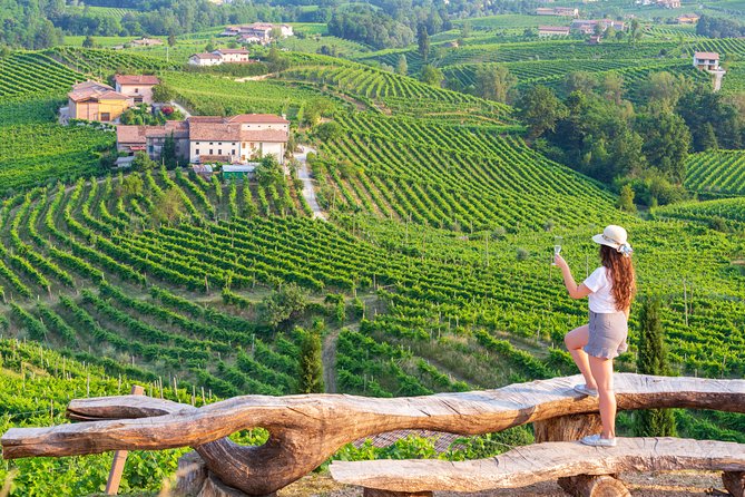 Premium Prosecco Hills Winery Tour with Prosecco Tastings & Food - Key points to know before booking