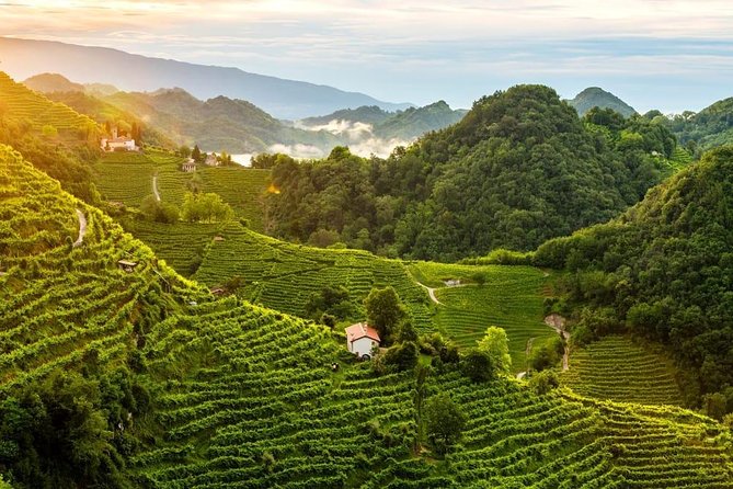 Premium Prosecco Hills Winery Tour with Prosecco Tastings & Food - Inside the family-run winery