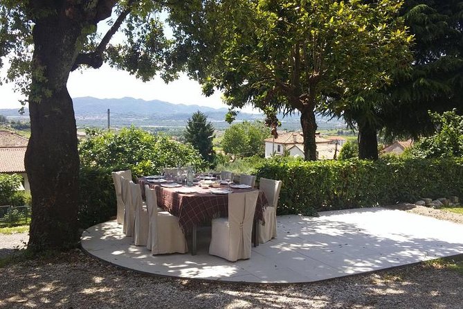 Premium Prosecco Hills Winery Tour with Prosecco Tastings & Food - Is $247.39 a fair price?