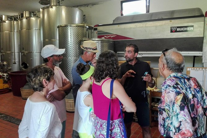 Premium Prosecco Hills Winery Tour with Prosecco Tastings & Food - Who should book this half-day outing?