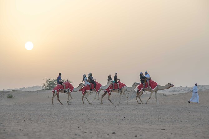 Premium Red Dunes Bashing with Quad Bike, Camel, Falcon &VIP Camp - Quad biking across the red sand