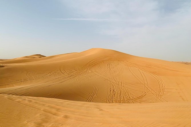 Premium Red Dunes Safari and Camel Safari with BBQ Dinner - BBQ dinner and unlimited soft drinks