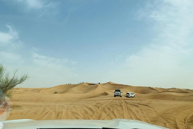 Premium Red Dunes Safari and Camel Safari with BBQ Dinner - Live entertainment after dark