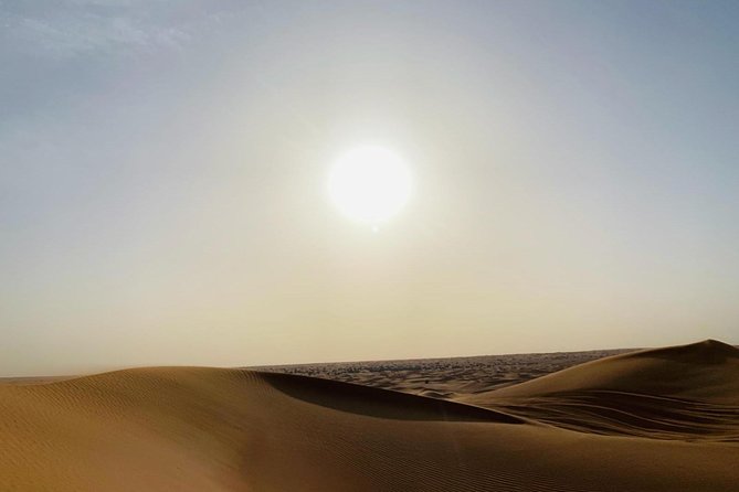 Premium Red Dunes Safari and Camel Safari with BBQ Dinner - Is $29 good value?