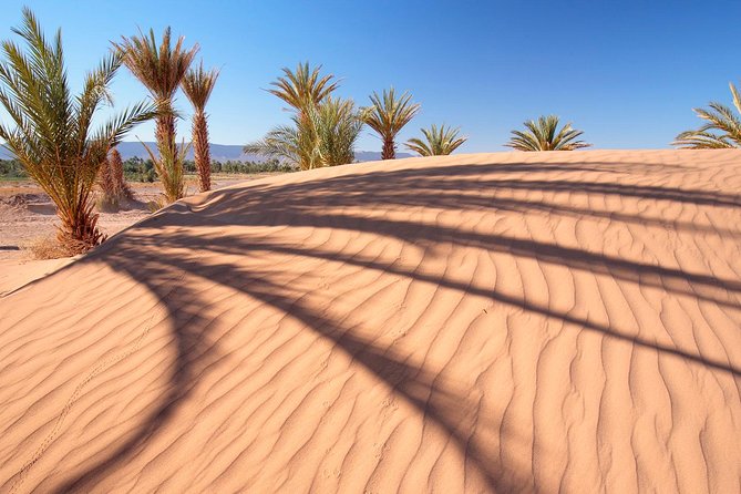 Premium Red Dunes Safari and Camel Safari with BBQ Dinner - What the 4x4 dune ride is really like