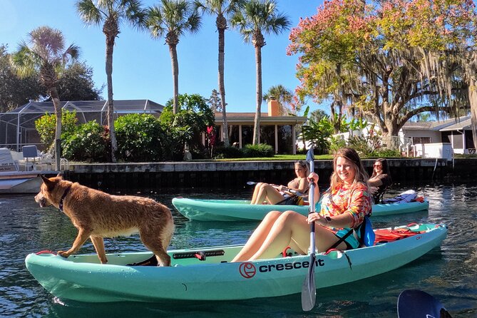 Premium Single Kayak Rental In Crystal River, Florida - Choosing between a single kayak, tandem, and hybrid paddle board