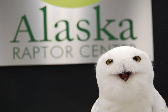 PREMIUM Sitka Scenic Tour - Who will get the most from this tour
