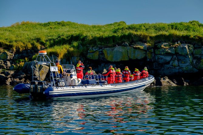 Premium Small-Group Puffin & Bird Watching tour from Reykjavík - How the equipment changes the experience