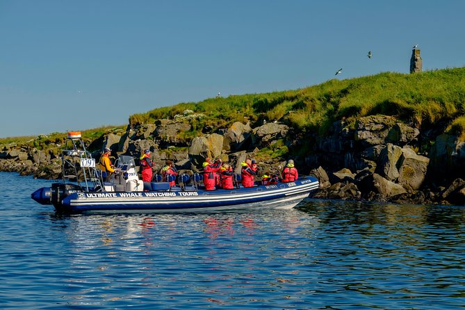 Premium Small-Group Puffin & Bird Watching tour from Reykjavík - Guide quality and the value of a small group