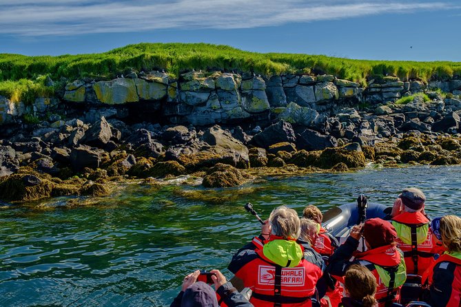 Premium Small-Group Puffin & Bird Watching tour from Reykjavík - Who should book this puffin tour?