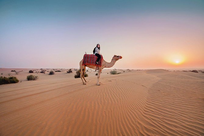 Premium Sundowner Red Dunes & Camel Safari with BBQ Dinner - Key points to know before booking