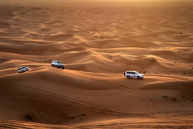 Premium Sundowner Red Dunes & Camel Safari with BBQ Dinner - Who should book this desert safari?