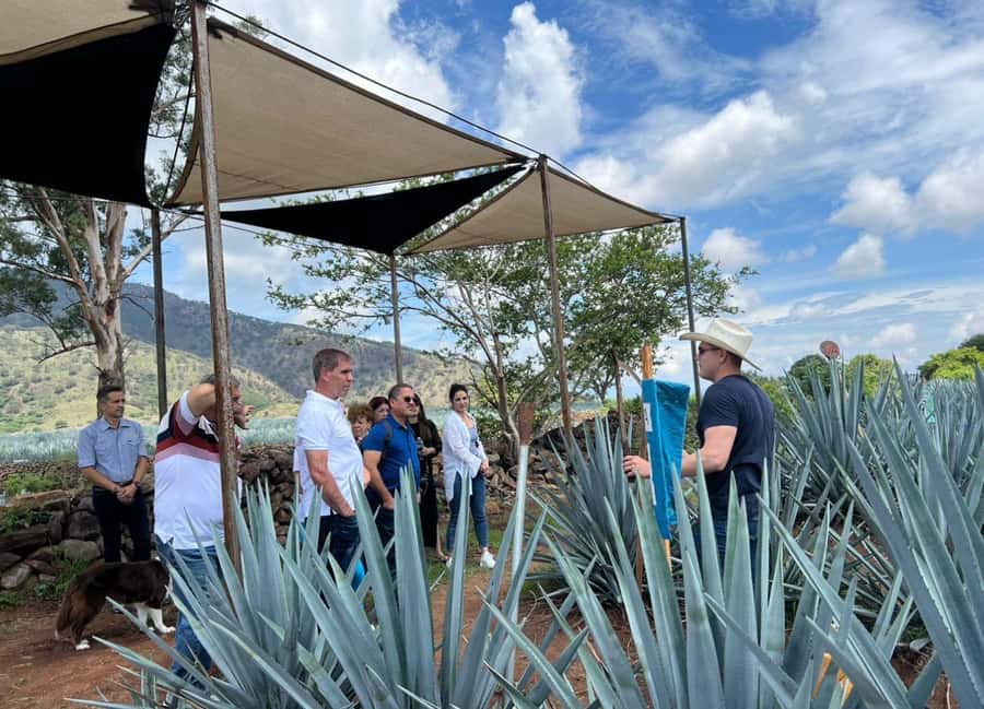 Premium Tequila Route with professional tasting - Key points to know before booking
