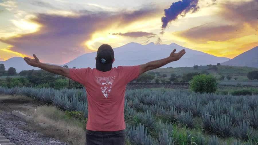 Premium Tequila Route with professional tasting - Amatitán views, giant swings, and a second tasting