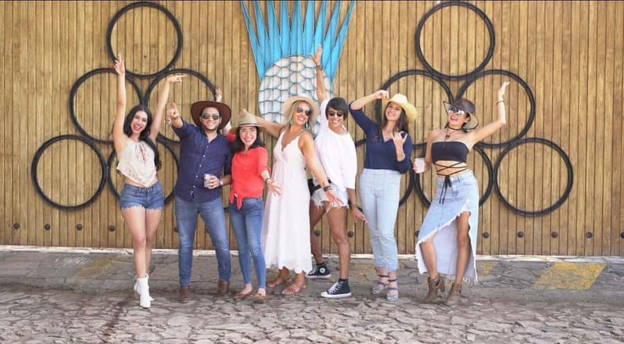 Premium Tequila Route with professional tasting - Starting with the agave fields in Amatitán