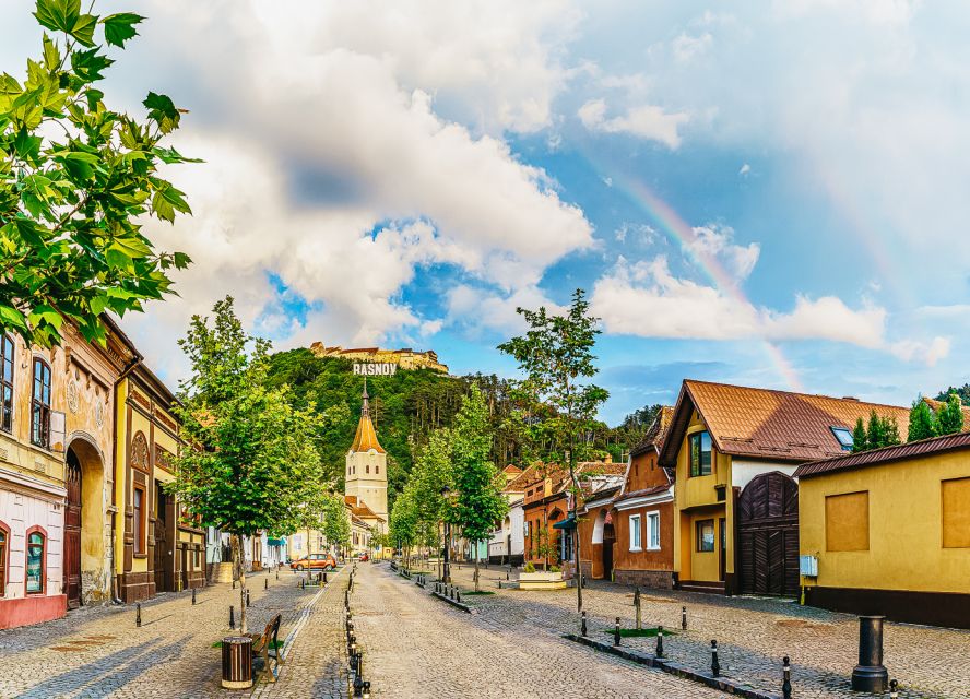 Premium Tour Bran & Peles Castle from Bucharest - Key points to know before booking