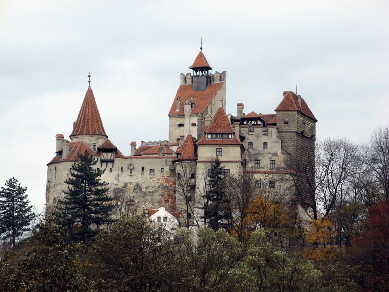 Premium Tour Bran & Peles Castle from Bucharest - Who should book this castle tour?