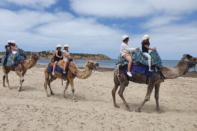 Premium Victor Harbor, Port Elliot and d'Arenberg Minibus Tour - Why this Adelaide day trip works