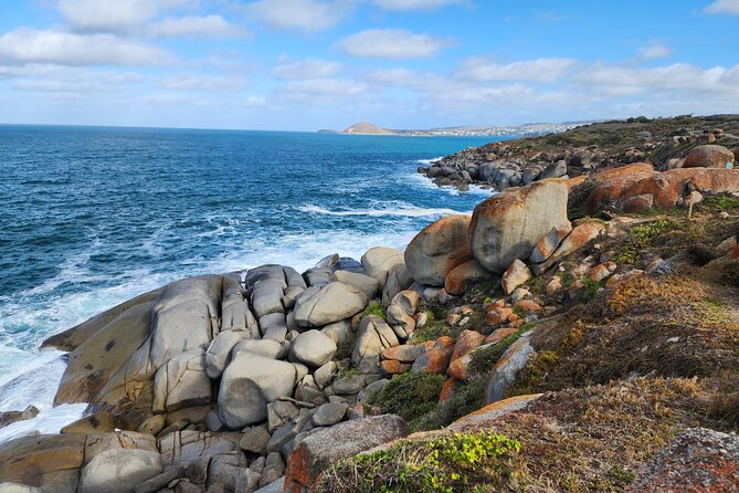 Premium Victor Harbor, Port Elliot and d'Arenberg Minibus Tour - Two useful hours in Victor Harbor