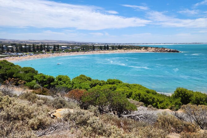 Premium Victor Harbor, Port Elliot and d'Arenberg Minibus Tour - Transport, timing, and group size