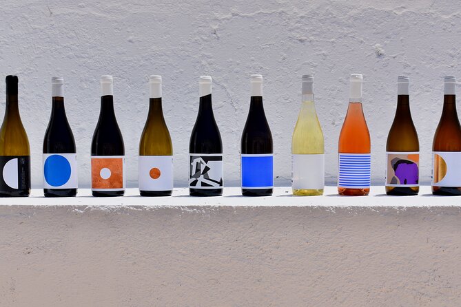 Premium Vineyard Tour & Tasting - A small-group walk through the vines