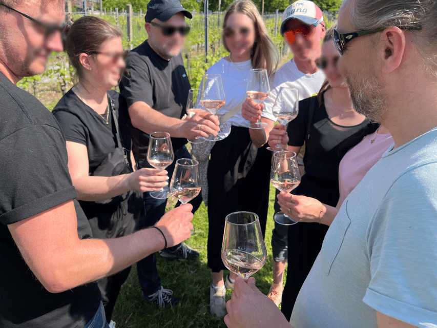 Premium wine hike Stuttgart with games and winemaker's snack - Five wines and a city view in three hours