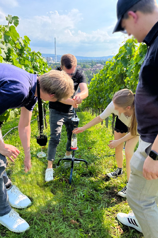 Premium wine hike Stuttgart with games and winemaker's snack - Snacks, water, and the meaning of premium