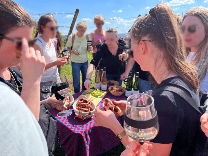 Premium wine hike Stuttgart with games and winemaker's snack - Who should book this wine hike?