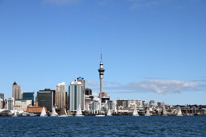 Private Auckland City Tour For Small Group in a luxury vehicle. - Why this private Auckland tour works well