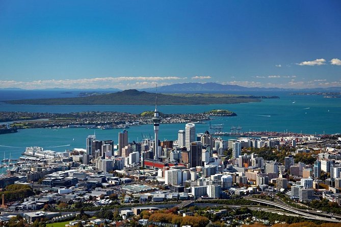 Private Auckland City Tour For Small Group in a luxury vehicle. - Auckland Domain and the museum’s Winter Gardens