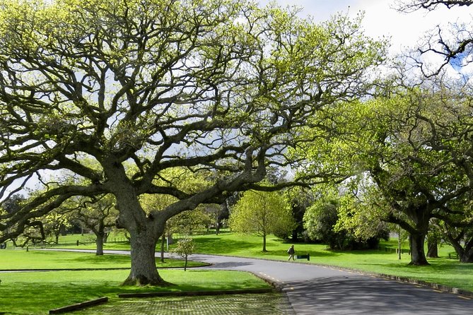 Private Auckland City Tour For Small Group in a luxury vehicle. - Devonport gives you a short taste of a bayside village