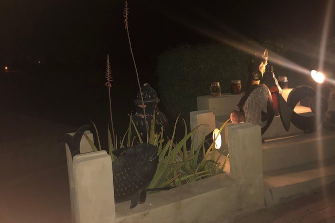 Private Desert Safari with Premium camp - What dinner is really worth