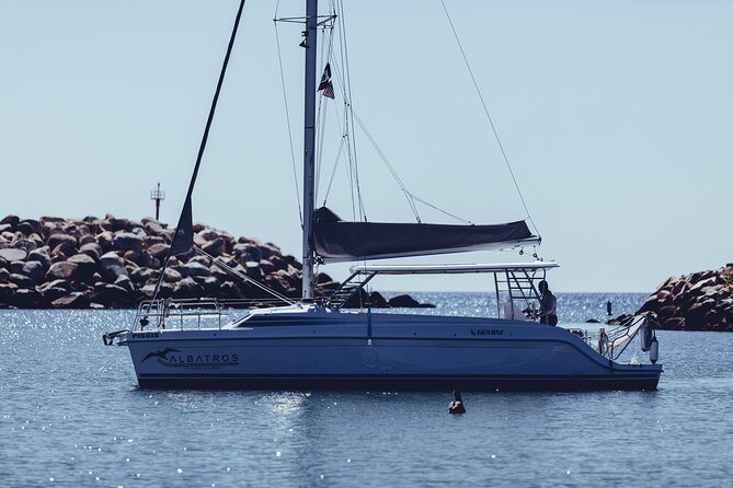 Private Luxury Adventure Tours in Cabo San Lucas - Whale watching from December 15 through April 15