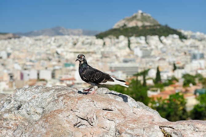 Private Luxury Biblical Tour: Apostle Paul in Athens & Corinth - Why this private Paul tour works so well