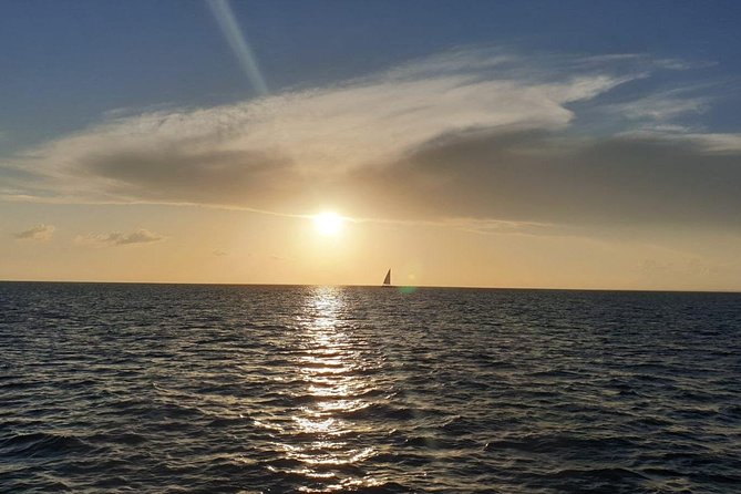Private Luxury Catamaran - Saona or Catalina island - Food, drinks, and the missing lunch